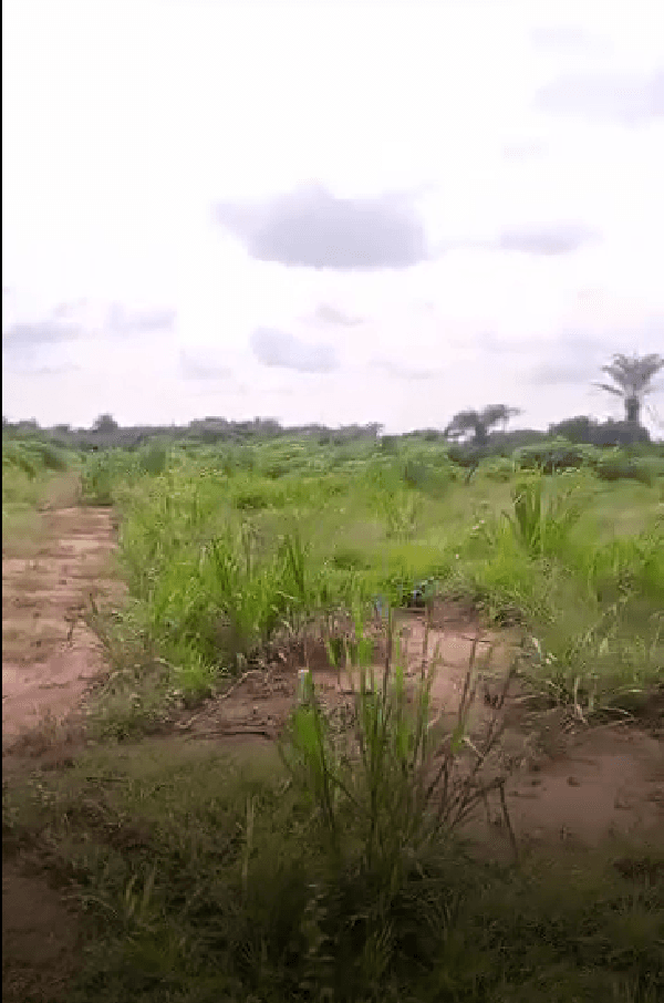 464 SQM Land for Sale at Emerald Garden City, Avu–Obosima, Imo State | Prime Residential & Commercial Plots | Promo Price ?9 Million