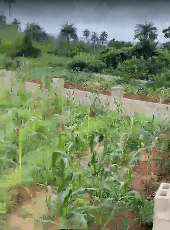 464 SQM Land for Sale at Dream Court Phase II, Ibusa, Delta State | Opposite Okpanam City Gate | ?7 Million Investment Plot