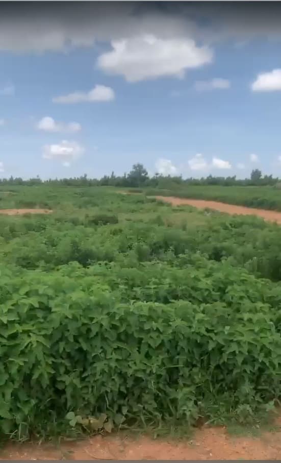 Gracious Millennium City Residential Land for Sale in Kabusa, Abuja | FCDA Approved Estate | 50% Discount